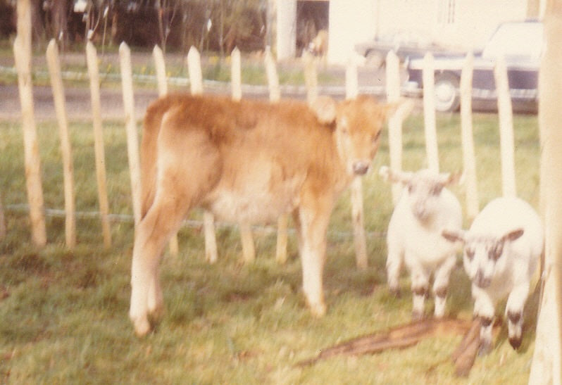 1982 We move to Simpson, Milton Keynes.