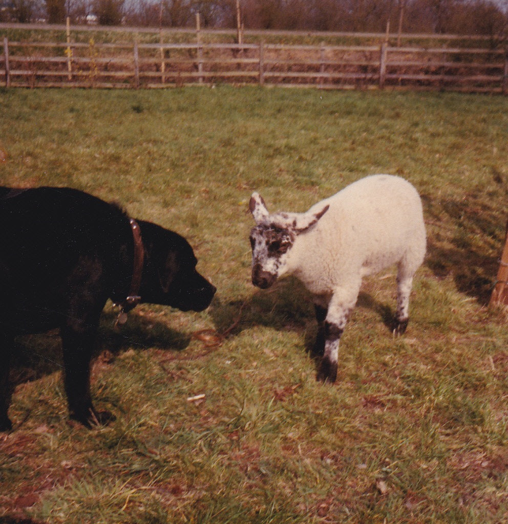1982 We move to Simpson, Milton Keynes.