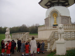 2005 (5)